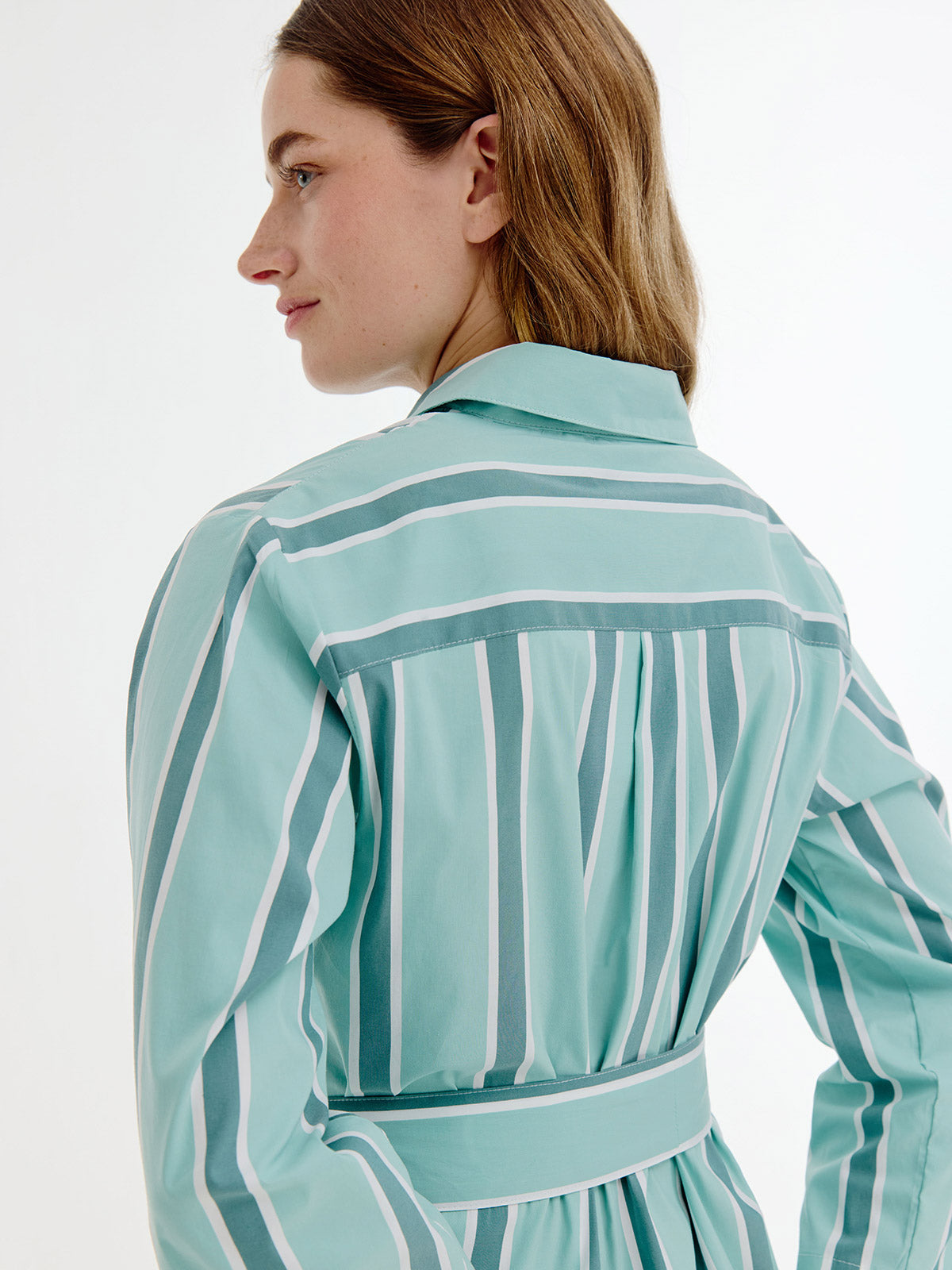 Boudewijn Dress | Wasabi Green Stripe
