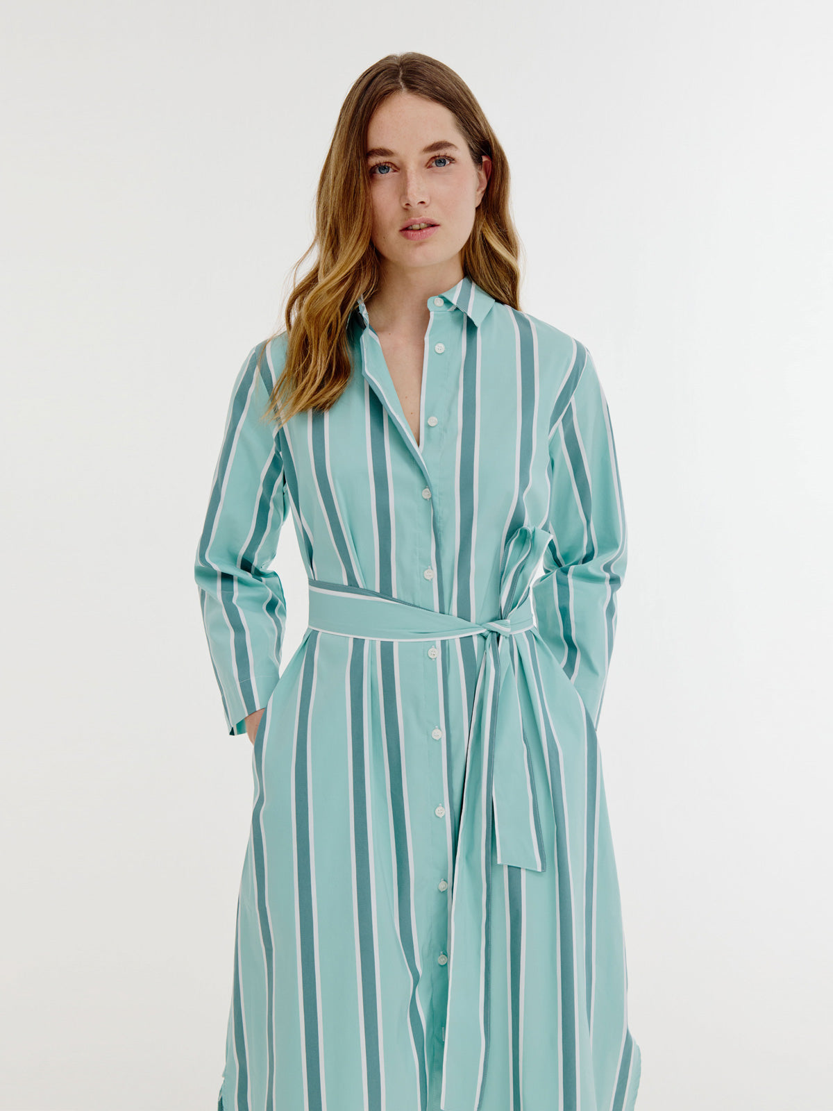 Boudewijn Dress | Wasabi Green Stripe