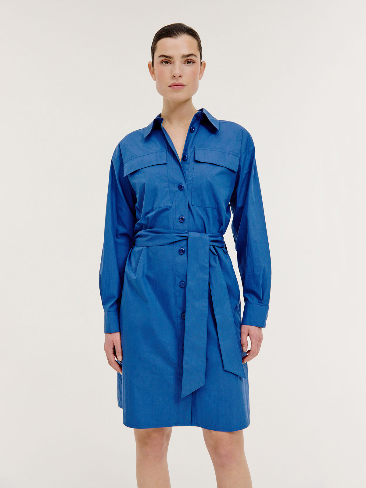 Brien Dress | Indigo